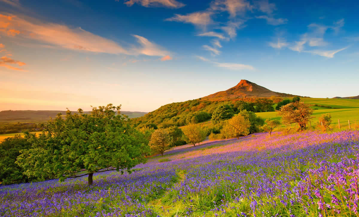 Walk - Roseberry Topping & Captain Cook's Monument