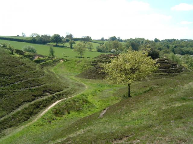 Walk: Hetchell Woods