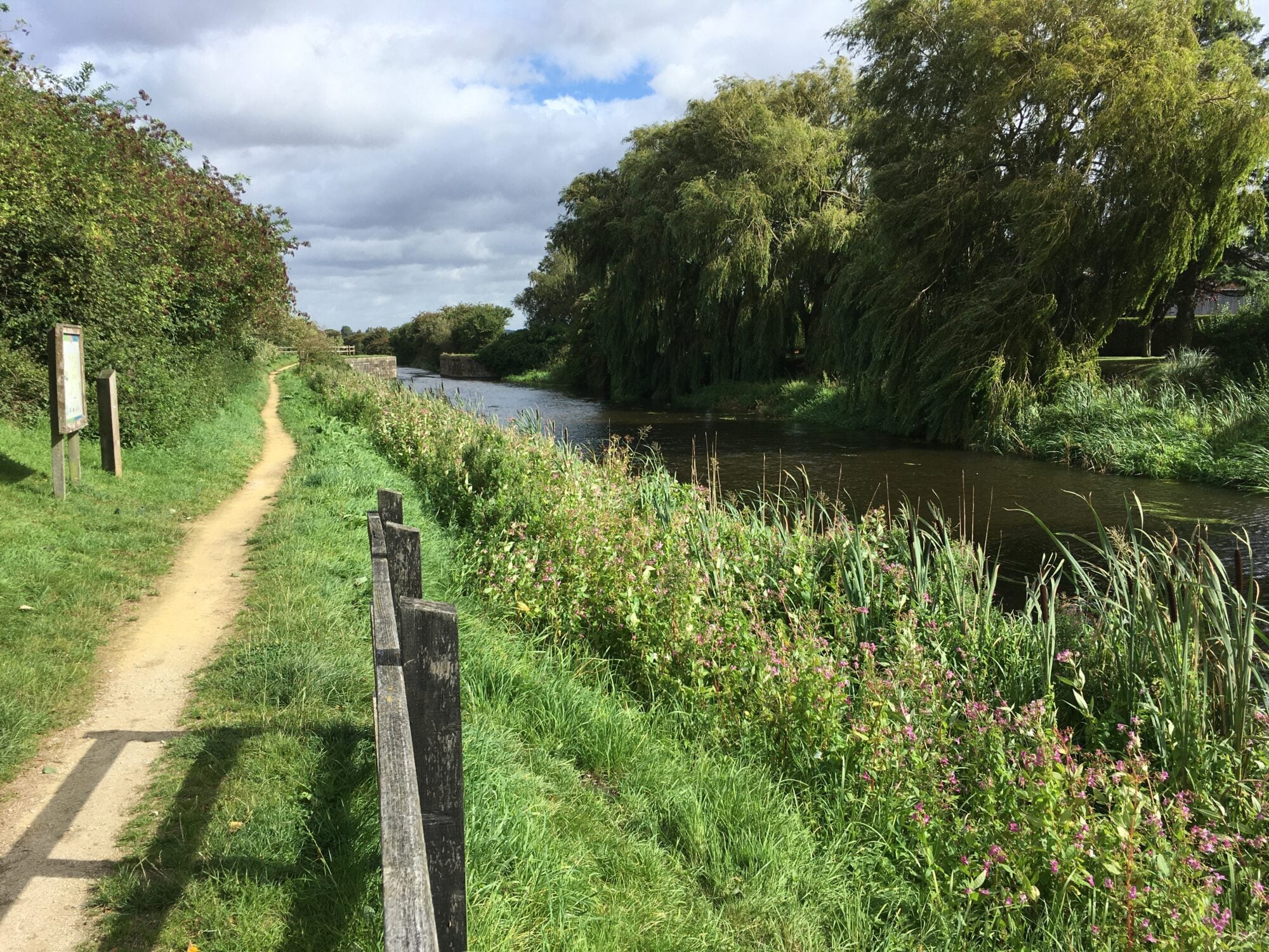 Walk: Selby Canal