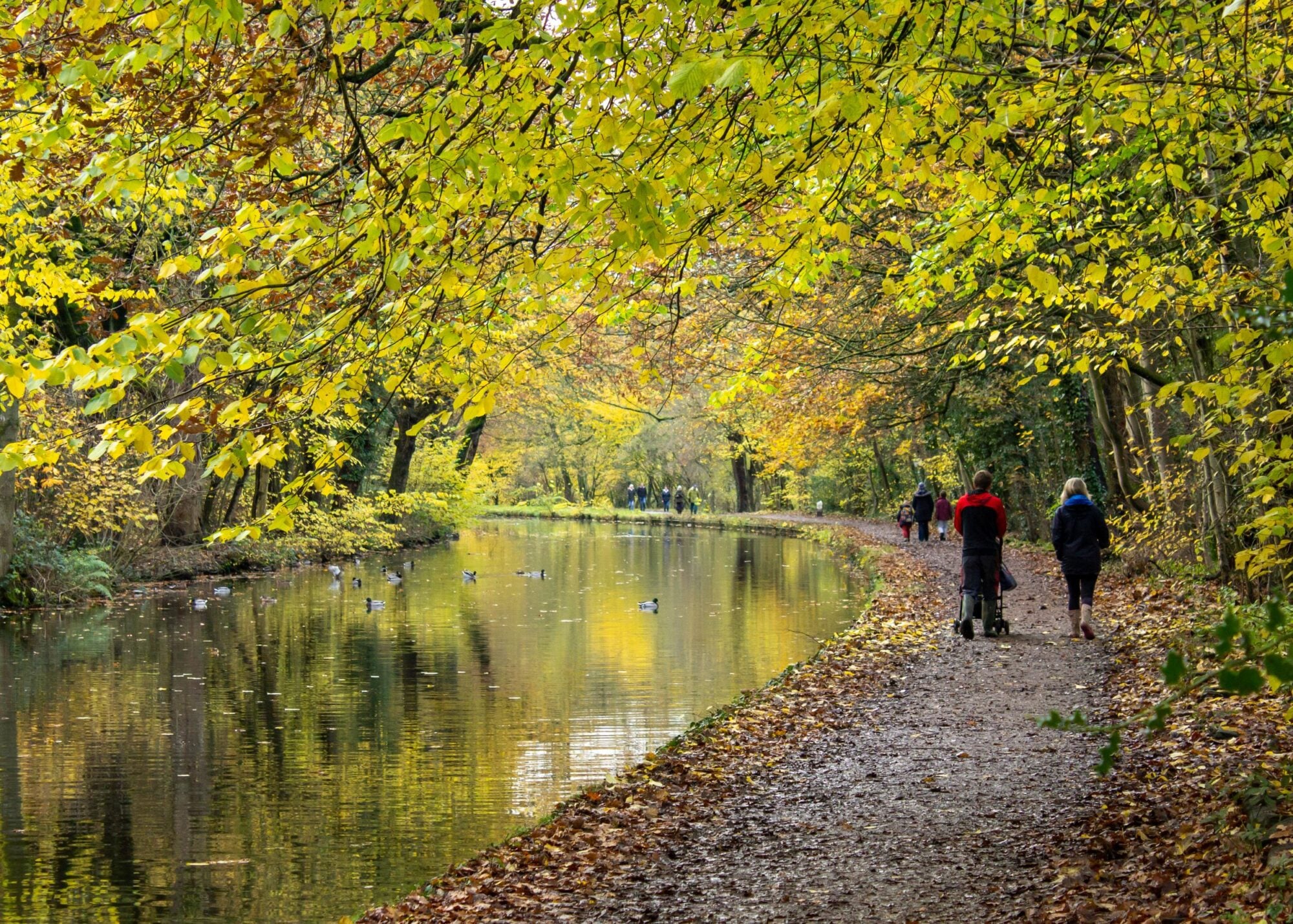 Walk: Shipley and Route 66