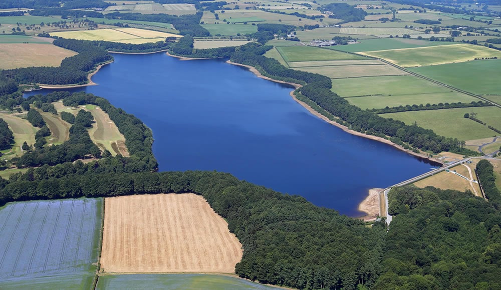 Walk: Alwoodley Park and Eccup Reservoir