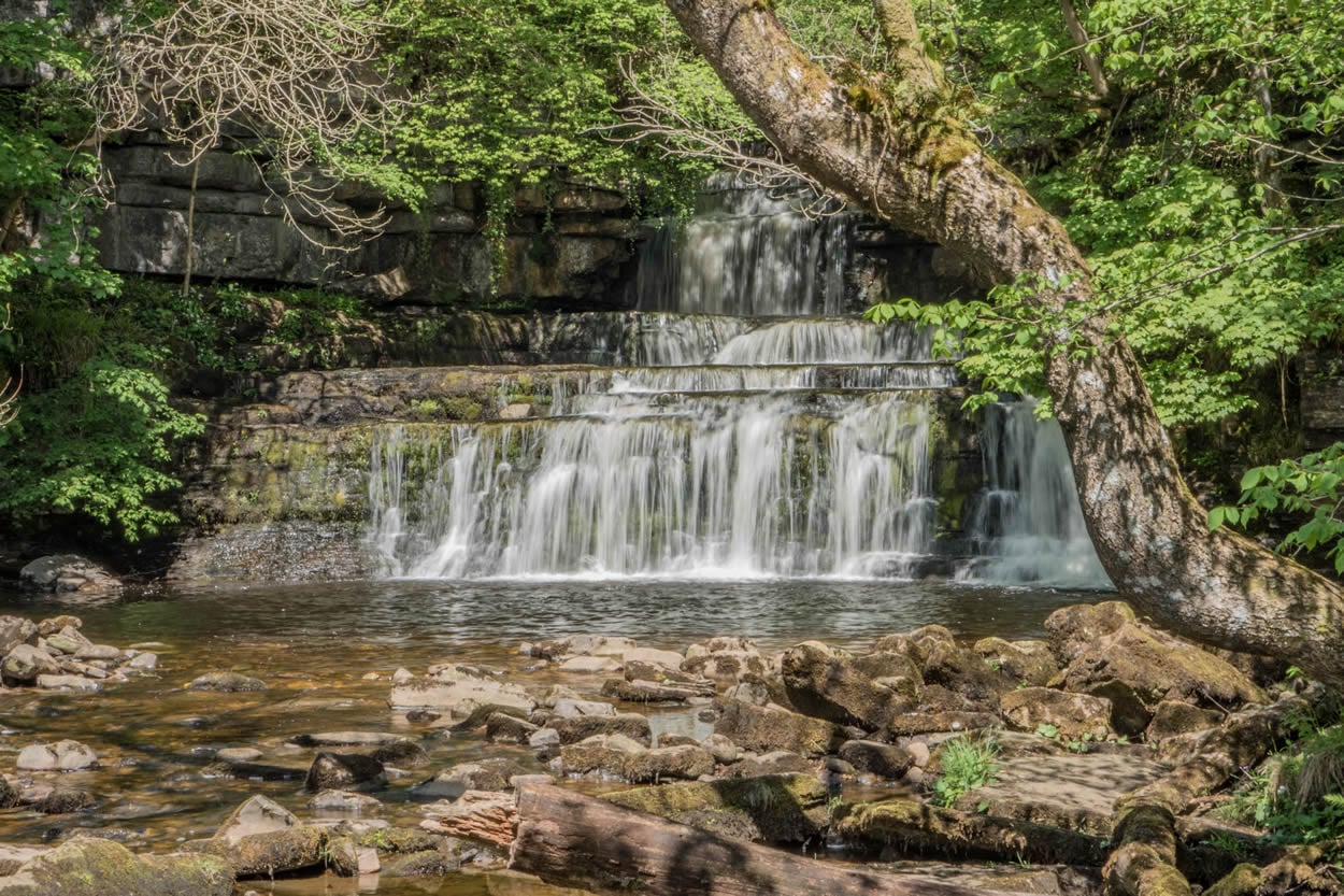 Walk: Cotter Force