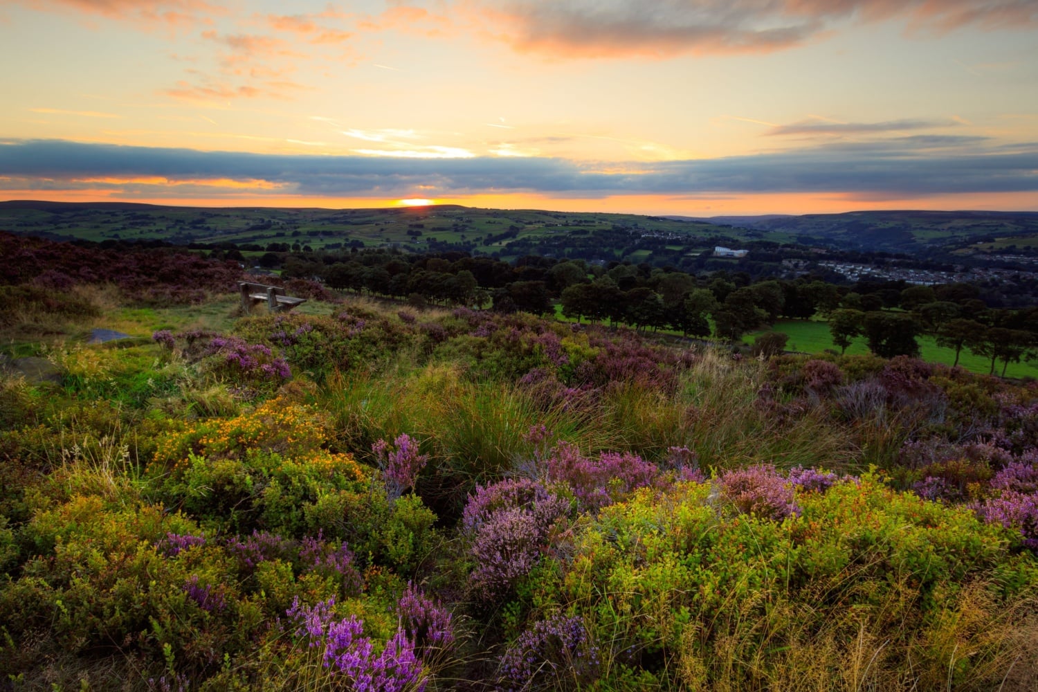 Walk: The Calderdale Way